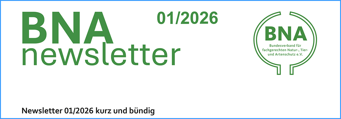 BNA Newsletter 01/2026
