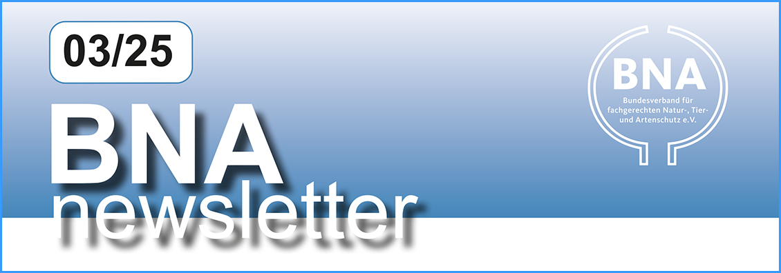 BNA-Newsletter 03/2025