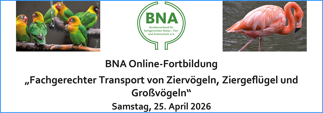 ACHTUNG: NEUER TERMIN!