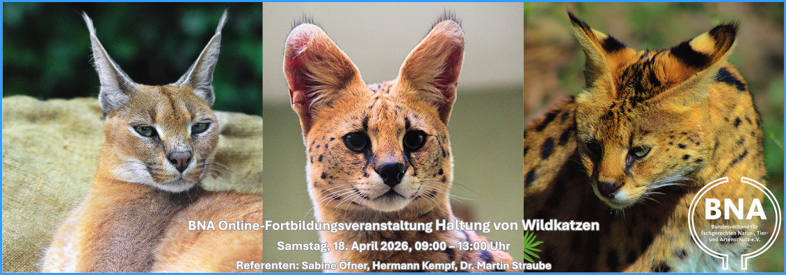 BNA-Onlinefortbildung